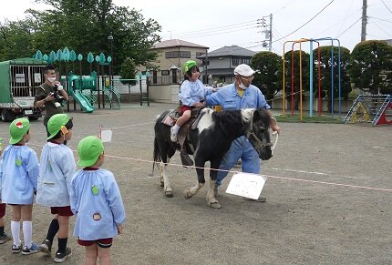 doubutsu 1 20230519.JPG