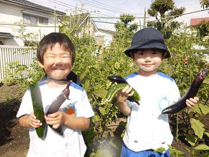 yasaiosusowake1 20240709.JPG