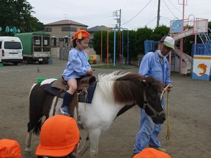 doubutu5 20250523.JPG