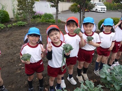 nenchoburokkori-3 20250509.JPG