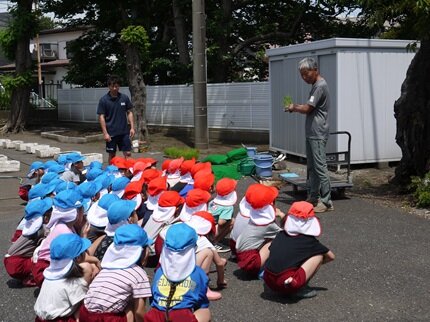 taue1 20250606.JPG