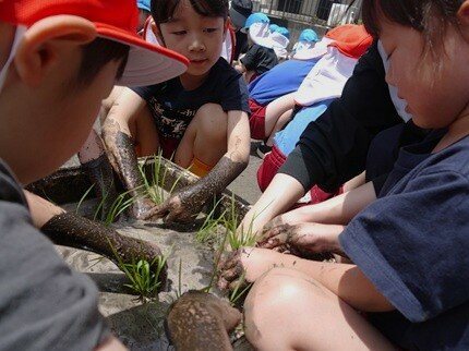 taue4 20250606.JPG