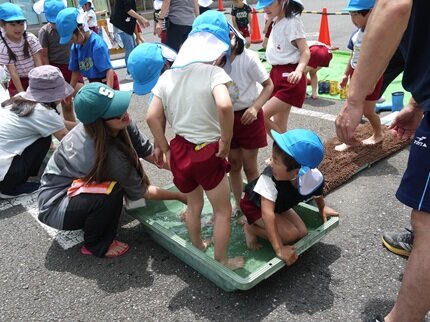 taue5 20250606.JPG