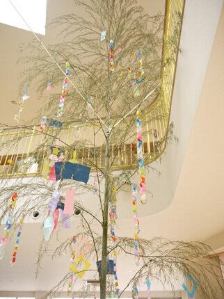 tanabata4 20250707.JPG