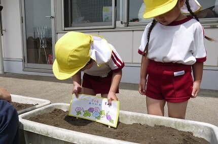 asagao 3 2026.05.07.JPG