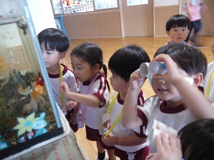P1270421.JPG