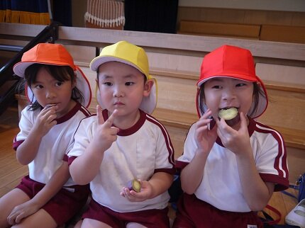 P1290511.JPG