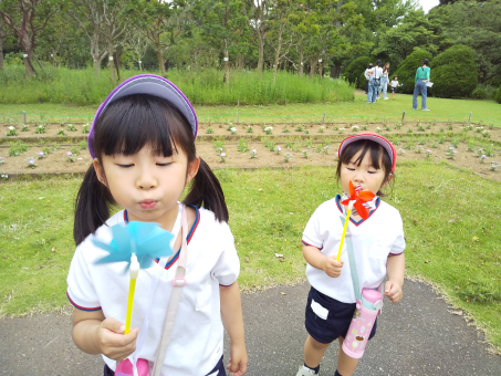伊藤姉妹.png