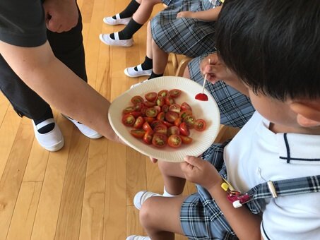トマト１.jpg