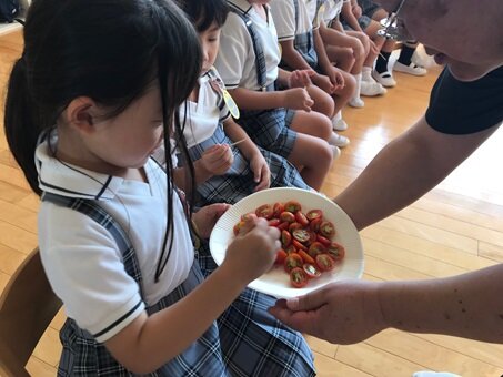 トマト２.jpg