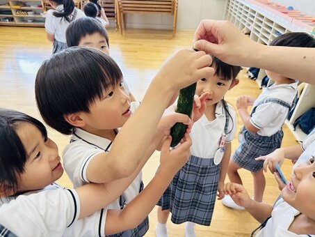 きゅうり しおりりな.JPG