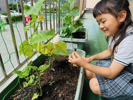 ばら2 野菜の栽培 れいな.JPG