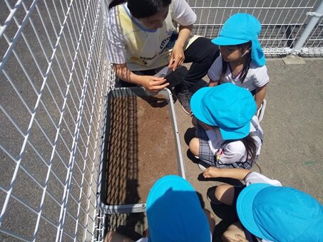種まき　す2.JPG