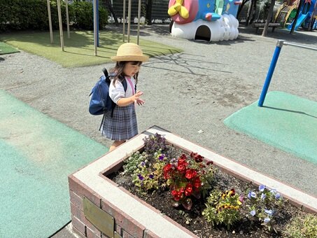 ちょうちょ１.JPG