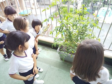 テラス.JPG